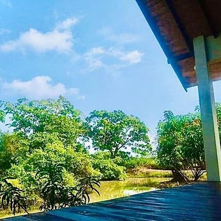 Thihawa Eco Huts Yala Bed and Breakfast Tissamaharama Eksteriør billede