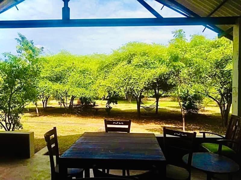 Thihawa Eco Huts Yala Bed and Breakfast Tissamaharama Eksteriør billede
