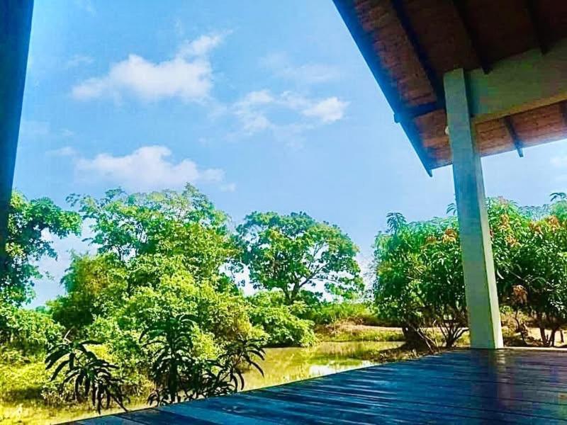 Thihawa Eco Huts Yala Bed and Breakfast Tissamaharama Eksteriør billede