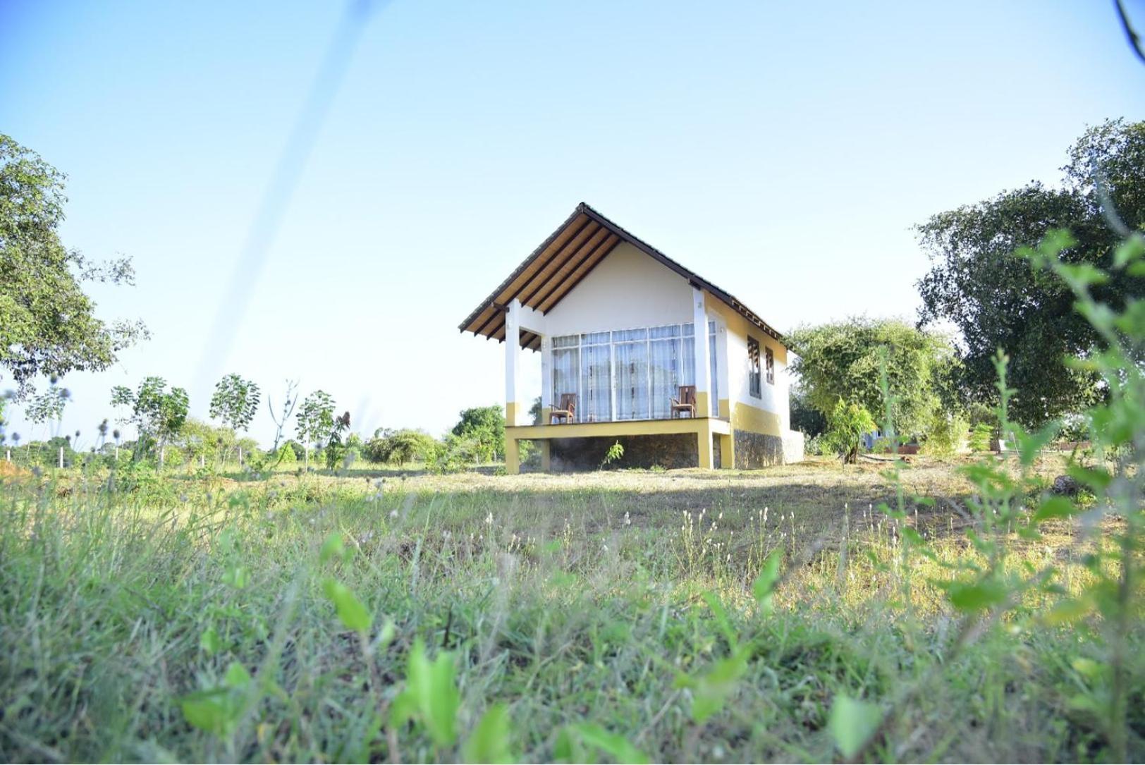 Thihawa Eco Huts Yala Bed and Breakfast Tissamaharama Eksteriør billede